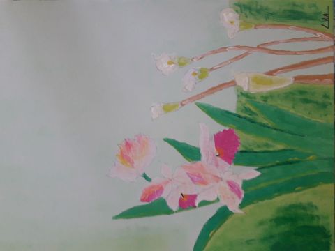 La fleur  des iles